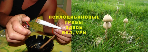 не бодяженный Болотное