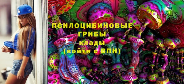 твердый Алзамай