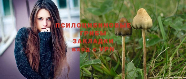 бутират Алексин