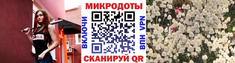 mega как войти  Краснознаменск  Псилоцибиновые грибы Magic Shrooms 
