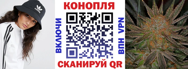 где продают наркотики  Краснознаменск  Каннабис White Widow 